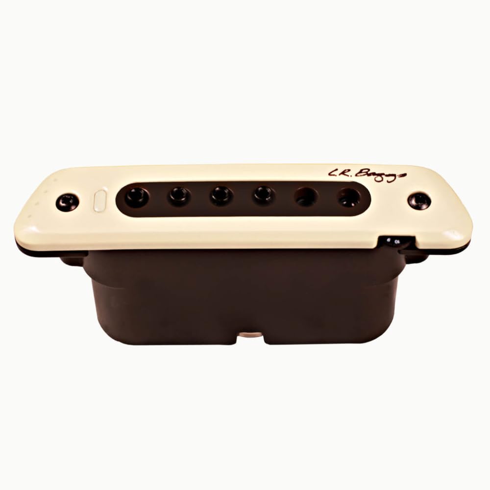 Amazon.com: LR Baggs M80 Acoustic Guitar Magnetic Soundhole Pickup